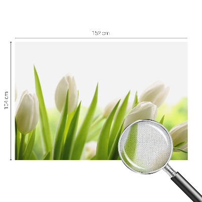 Fototapeta samoprzylepna z nadrukiem z białymi tulipanami