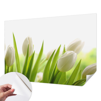 Fototapeta samoprzylepna z nadrukiem z białymi tulipanami