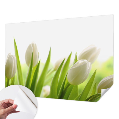 Fototapeta samoprzylepna z nadrukiem z białymi tulipanami