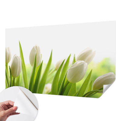 Fototapeta samoprzylepna z nadrukiem z białymi tulipanami