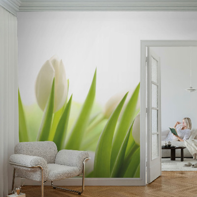 Fototapeta samoprzylepna z nadrukiem z białymi tulipanami