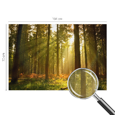 Fototapeta samoprzylepna do sypialni z motywem leśnego poranka