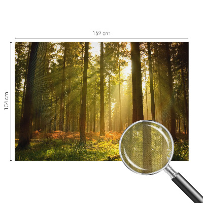 Fototapeta samoprzylepna do sypialni z motywem leśnego poranka