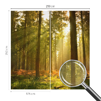 Fototapeta samoprzylepna do sypialni z motywem leśnego poranka
