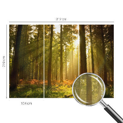 Fototapeta samoprzylepna do sypialni z motywem leśnego poranka