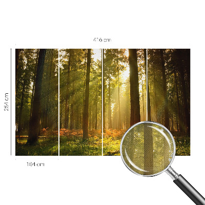 Fototapeta samoprzylepna do sypialni z motywem leśnego poranka