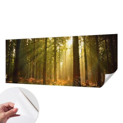 Fototapeta samoprzylepna do sypialni z motywem leśnego poranka
