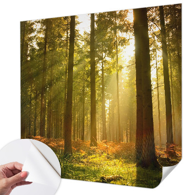 Fototapeta samoprzylepna do sypialni z motywem leśnego poranka