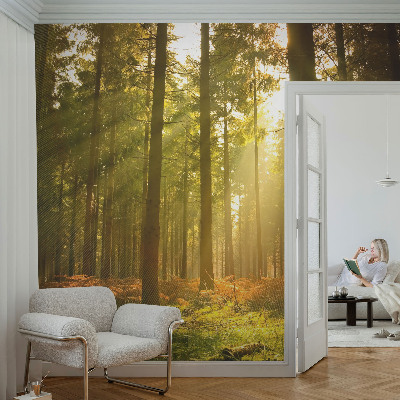 Fototapeta samoprzylepna do sypialni z motywem leśnego poranka