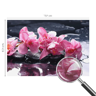 Tapeta fotograficzna Tapeta fotograficzna