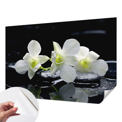 Tapeta fotograficzna samoprzylepna Kwiaty kamienie