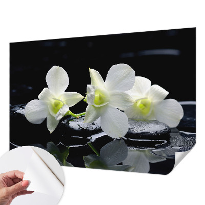 Tapeta fotograficzna samoprzylepna Tapeta fotograficzna samoprzylepna