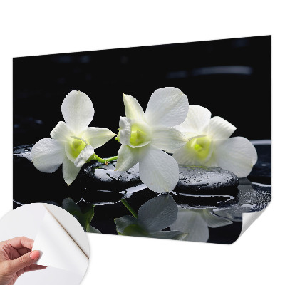 Tapeta fotograficzna samoprzylepna Tapeta fotograficzna samoprzylepna