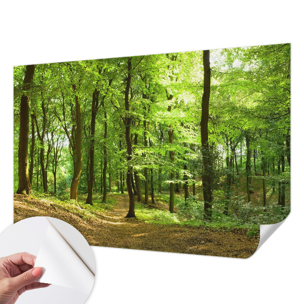 Tapeta fotograficzna samoprzylepna z motywem naturalnej ścieżki