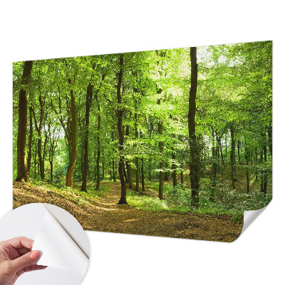 Tapeta fotograficzna samoprzylepna z motywem naturalnej ścieżki
