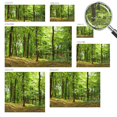 Tapeta fotograficzna samoprzylepna z motywem naturalnej ścieżki