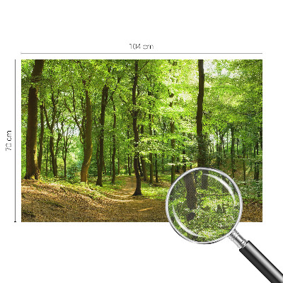 Tapeta fotograficzna samoprzylepna z motywem naturalnej ścieżki