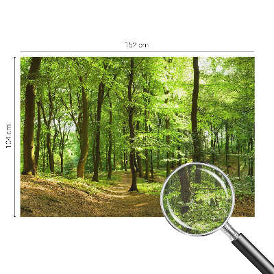 Tapeta fotograficzna samoprzylepna z motywem naturalnej ścieżki