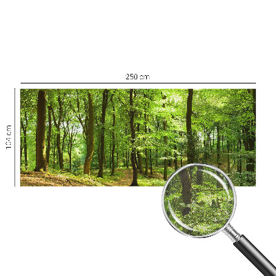 Tapeta fotograficzna samoprzylepna z motywem naturalnej ścieżki