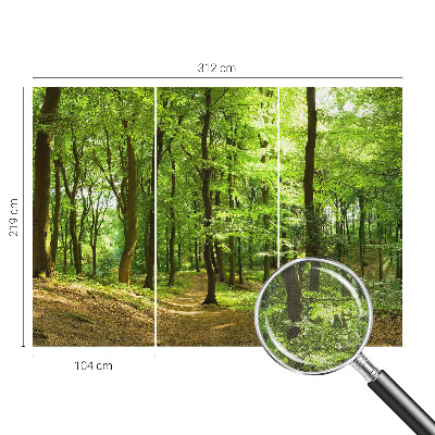 Tapeta fotograficzna samoprzylepna z motywem naturalnej ścieżki