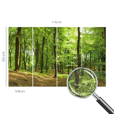 Tapeta fotograficzna samoprzylepna z motywem naturalnej ścieżki
