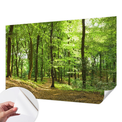 Tapeta fotograficzna samoprzylepna z motywem naturalnej ścieżki