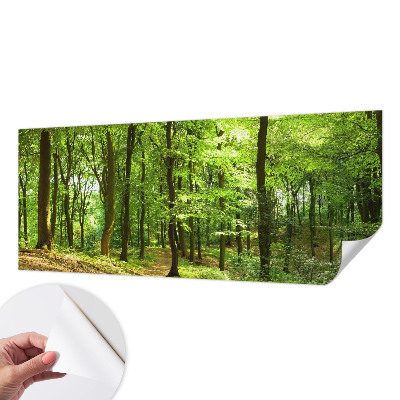 Tapeta fotograficzna samoprzylepna z motywem naturalnej ścieżki