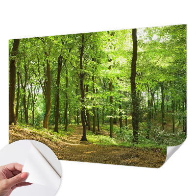 Tapeta fotograficzna samoprzylepna z motywem naturalnej ścieżki