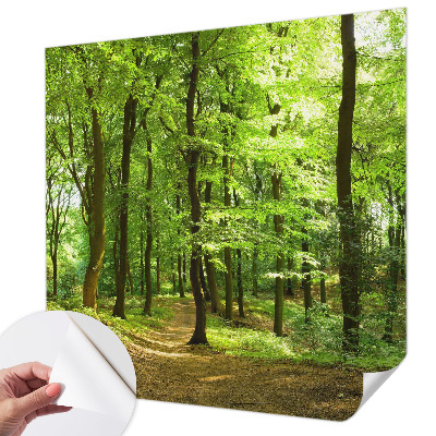 Tapeta fotograficzna samoprzylepna z motywem naturalnej ścieżki