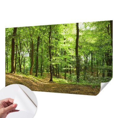 Tapeta fotograficzna samoprzylepna z motywem naturalnej ścieżki
