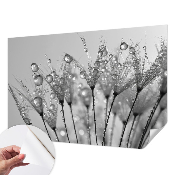 Fototapeta samoprzylepna do sypialni Fototapeta samoprzylepna do sypialni