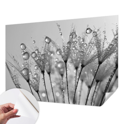 Fototapeta samoprzylepna do sypialni Fototapeta samoprzylepna do sypialni