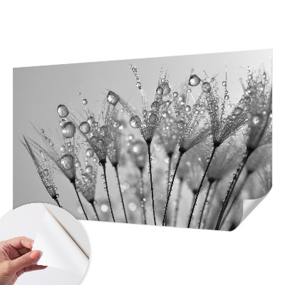 Fototapeta samoprzylepna do sypialni Fototapeta samoprzylepna do sypialni