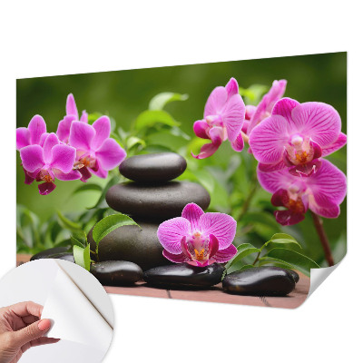 Fototapeta na ścianę z motywem orchidei i kamieni