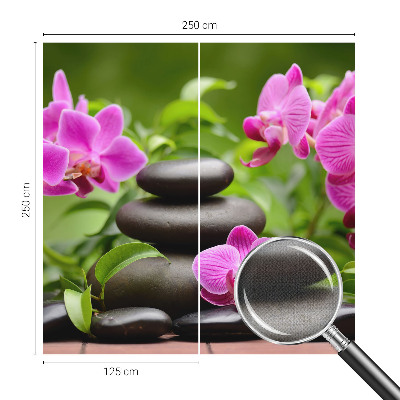 Fototapeta na ścianę z motywem orchidei i kamieni