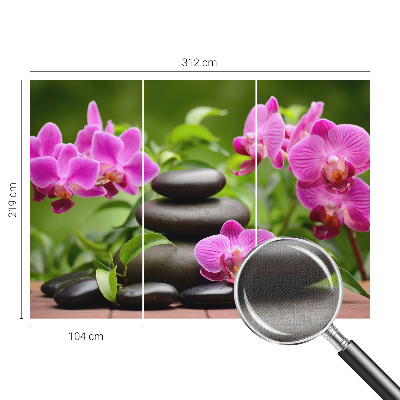 Fototapeta na ścianę z motywem orchidei i kamieni