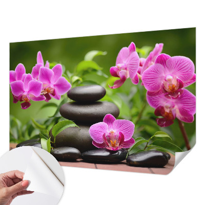 Fototapeta na ścianę z motywem orchidei i kamieni