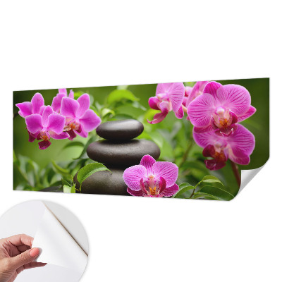 Fototapeta na ścianę z motywem orchidei i kamieni