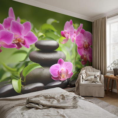 Fototapeta na ścianę z motywem orchidei i kamieni