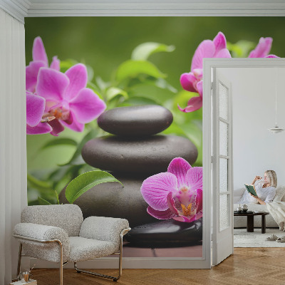 Fototapeta na ścianę z motywem orchidei i kamieni