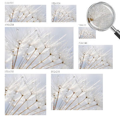 Fototapeta samoprzylepna do sypialni Fototapeta samoprzylepna do sypialni