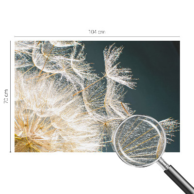 Dekoracyjna fototapeta na ścianę Dekoracyjna fototapeta na ścianę