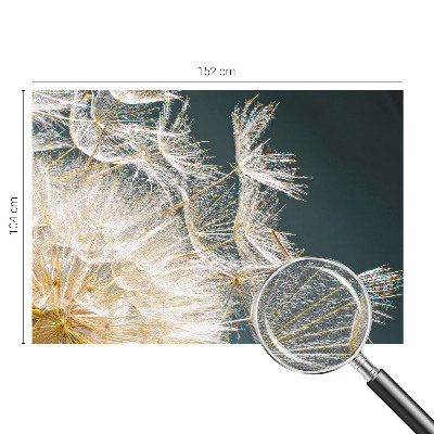 Dekoracyjna fototapeta na ścianę Dekoracyjna fototapeta na ścianę