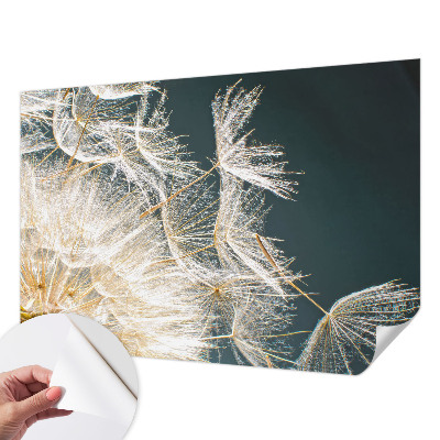 Dekoracyjna fototapeta na ścianę Dekoracyjna fototapeta na ścianę