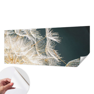 Dekoracyjna fototapeta na ścianę z motywem dmuchawca 