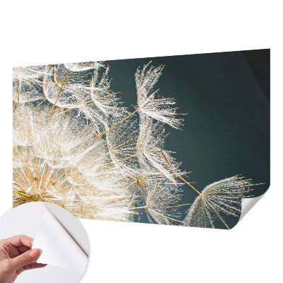 Dekoracyjna fototapeta na ścianę z motywem dmuchawca 