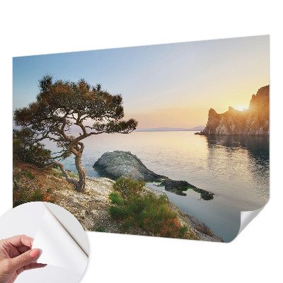 Tapeta fotograficzna samoprzylepna z motywem spokojnej natury