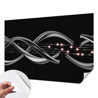 Fototapeta na ścianę Fototapeta na ścianę