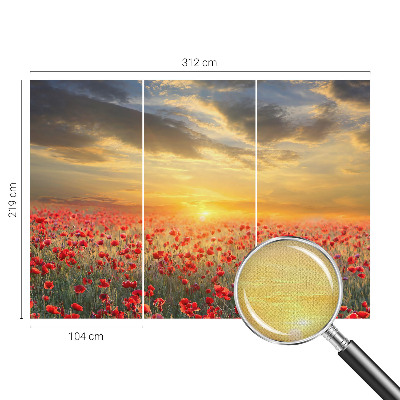 Nowoczesna fototapeta do salonu Nowoczesna fototapeta do salonu