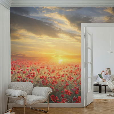 Nowoczesna fototapeta do salonu z motywem makowego pola